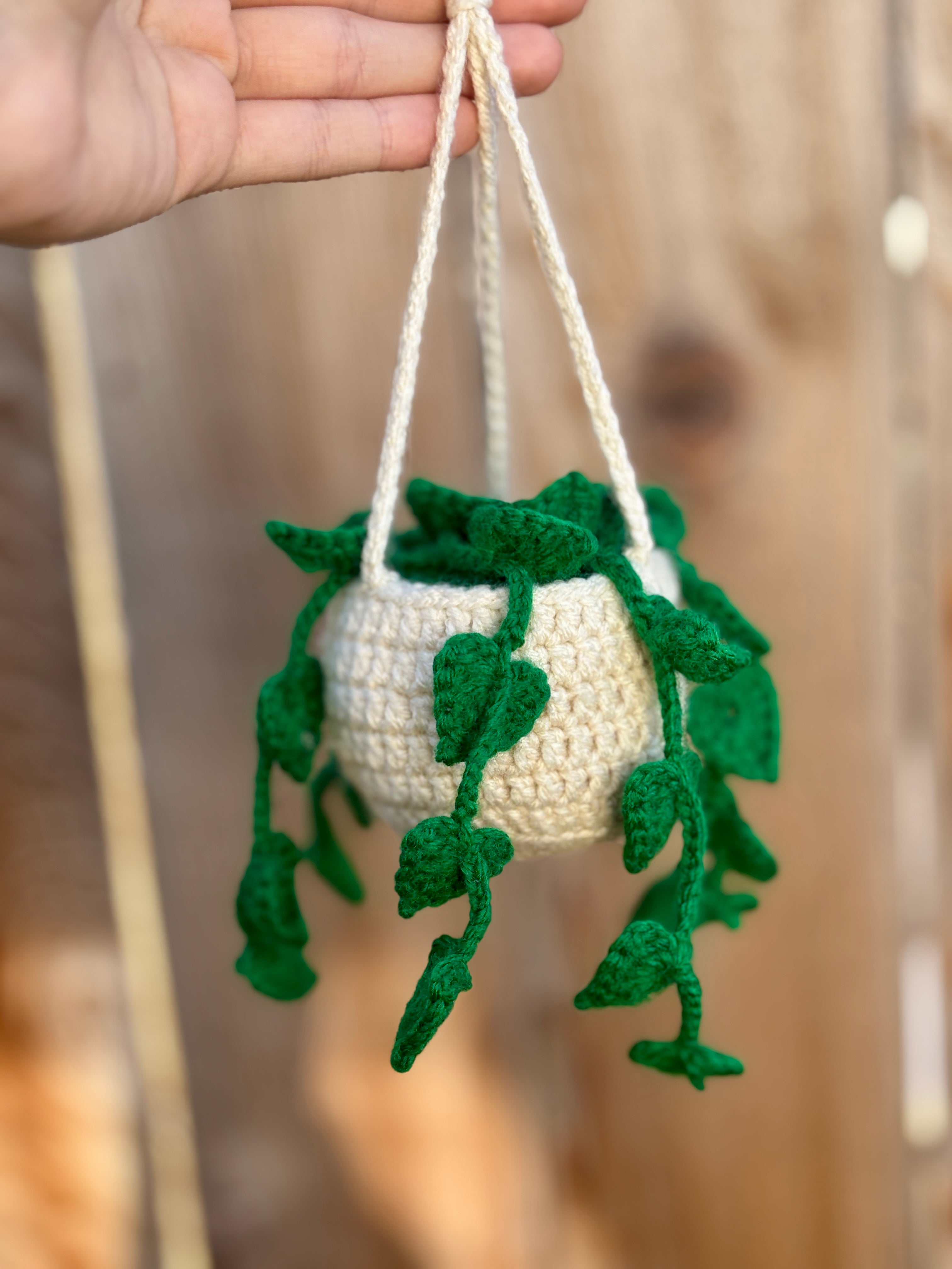 Crochet Hanging Basket (Customizable)