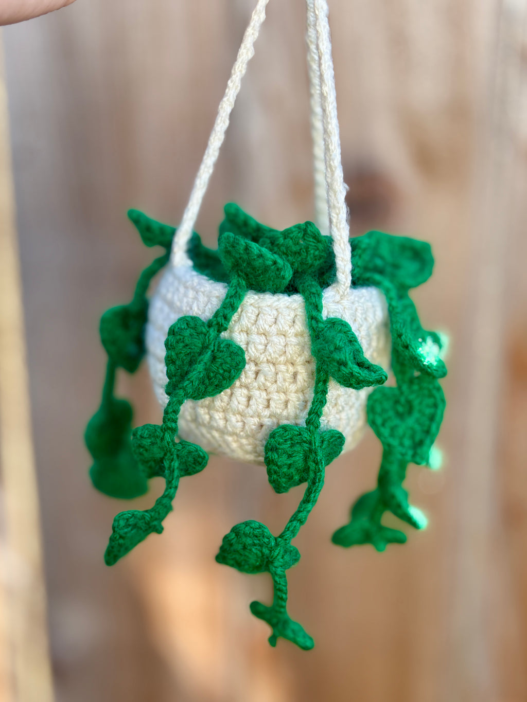 Crochet Hanging Basket (Customizable)
