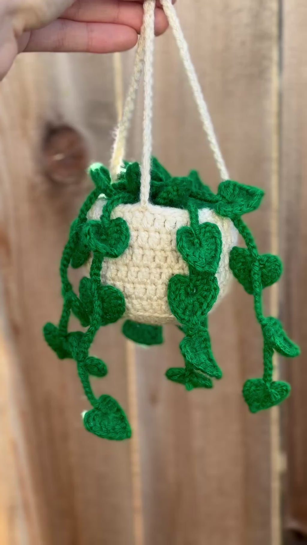 Crochet Hanging Basket (Customizable)