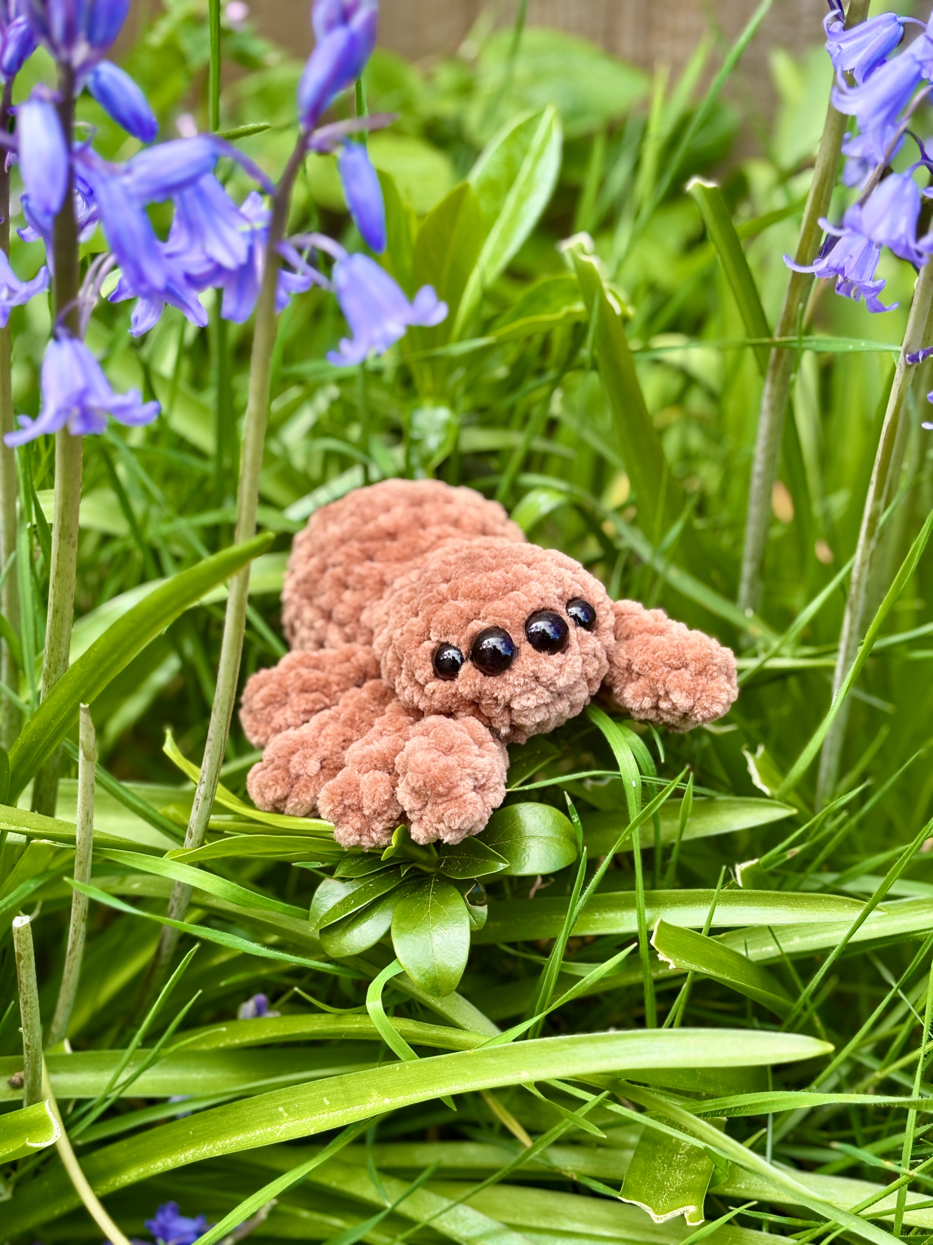 Crochet Spider (Jumping Spider)